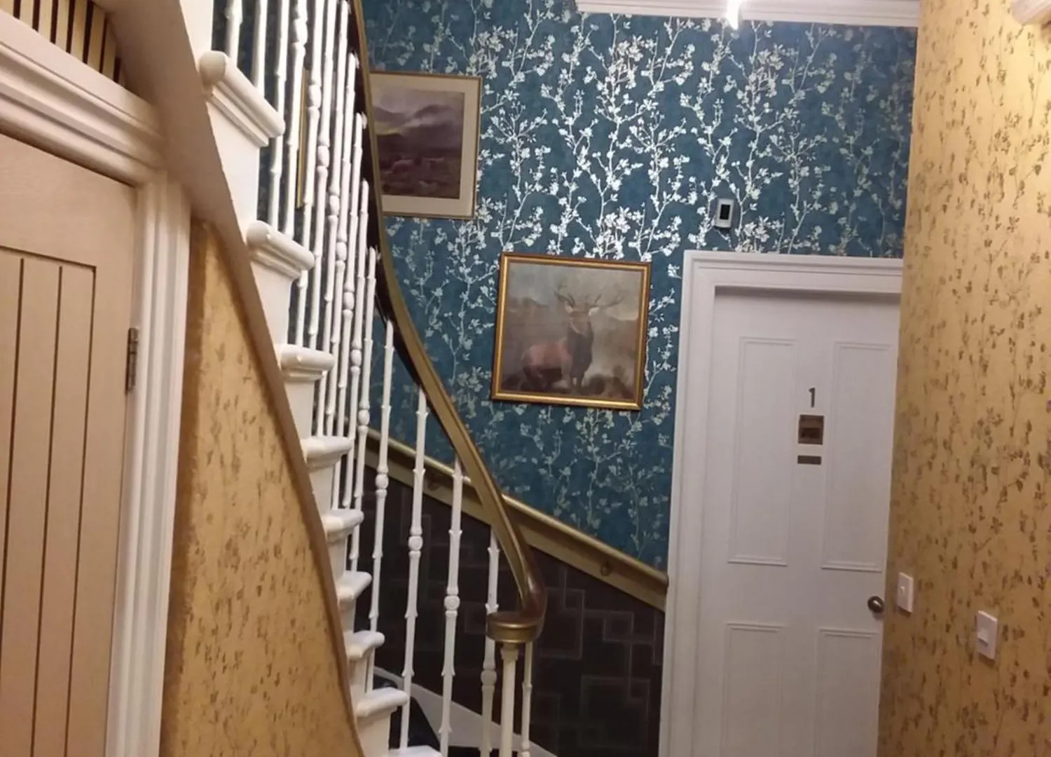 Ivy- Braveheart Guest House Edimburgo